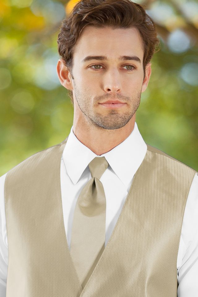 Solid Herringbone Neck Tie Rental