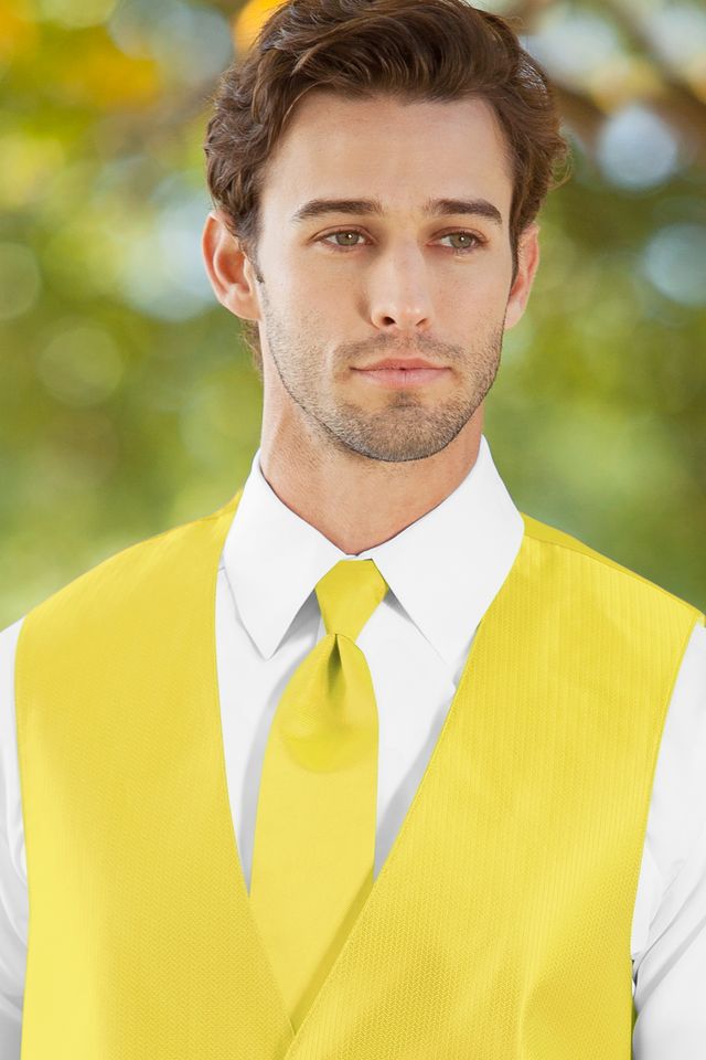 Solid Herringbone Neck Tie Rental